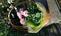 rps20150824_075823.jpg
