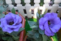 DSCN1107.JPG