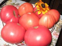 IMG_0430 - копия.JPG