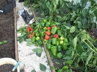 IMG_0815 - копия.JPG