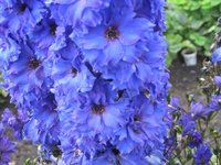 IMG_0189.JPG