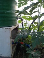 IMG_20150714_195528.jpg