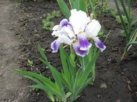 IMG_0034.JPG