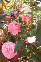 DSCN1704.JPG