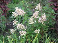 IMG_0846.JPG