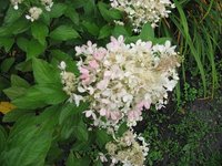 IMG_0684.JPG