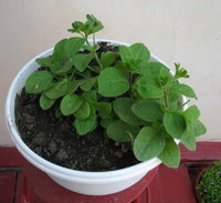 IMG_4906ю 1.jpg