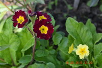 DSC_7188.JPG