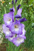 DSCN1353.JPG