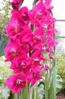 DSCN1352.JPG