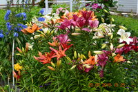 DSC_6801.JPG