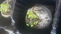 20160219_133105.jpg