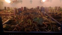 P_20160221_120941.jpg
