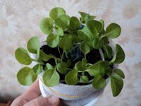 DSC01710.JPG