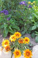 DSCN1212.JPG