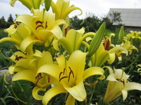 IMG_6276 1.jpg