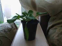 Вот какие маленькие