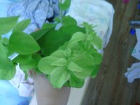 IMG_20160519_095413.jpg
