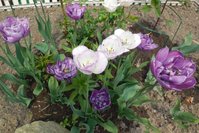 DSCN2138.JPG