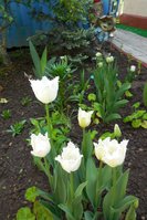 DSCN2148.JPG