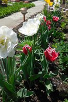 DSCN2165.JPG