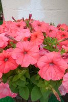 DSCN2576.JPG