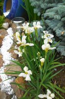 DSCN2429.JPG