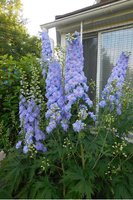 DSCN2593.JPG