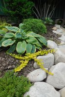DSCN2831.JPG