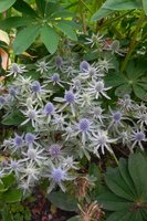 DSCN2939.JPG