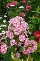 DSCN3014.JPG