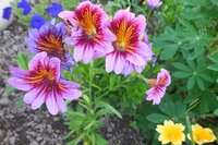 DSCN3038.JPG