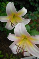 DSCN2976.JPG
