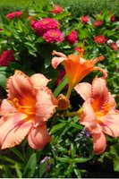 DSCN3045.JPG