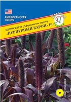 Пен. - м.jpg