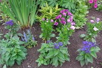 DSCN2898.JPG