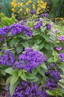 DSCN3230.JPG