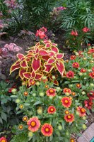 DSCN3203.JPG