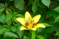 DSCN2423.jpg