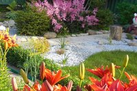 DSCN2763.jpg