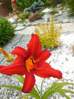 DSCN2816.jpg