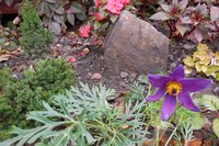 DSCN3420.jpg