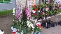 20160812_074147.jpg