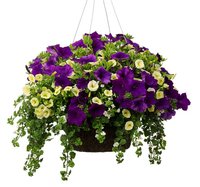 269225-eb4d0-67550931-m750x740-ube187.jpg