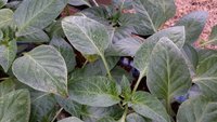 20170404_140532.jpg