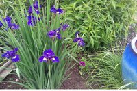 20170619_134622.jpg
