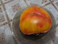 IMG_4288.jpg з г.jpg