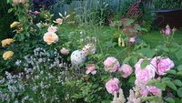 DSC_1224.JPG