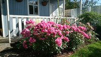 DSC_1238.JPG