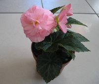 IMG_7123.jpg 1.jpg